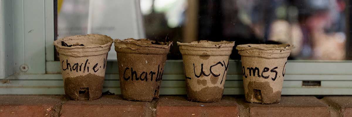 Four cardboard flour pots sitting on the ground with names written on them - Charlie, Charles, Lucy and James. 